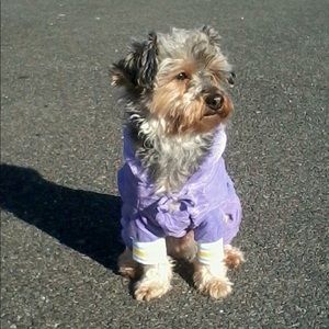 Meet your Posher, Liz